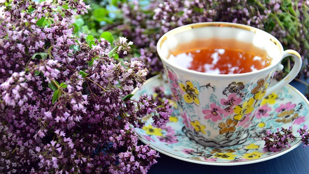 piante per la preparazione di tisane