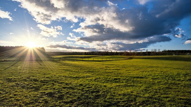 Sunset on green Field Landscape