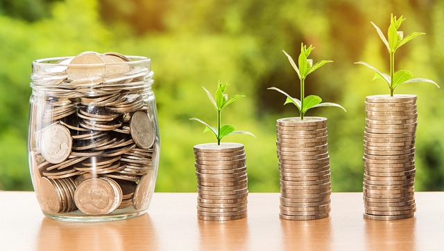 veicoli d'investimento