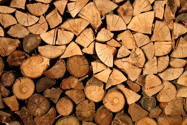 cessione del legno