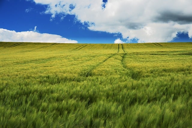 fusione società agricole